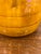 Mustard Mid 20th Century French Biot Lion Head Ceramic Pitcher, Signed For Sale - Image 8 of 8