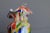 Italian Multi Colored Murano Glass Jar, 1960s For Sale - Image 6 of 13