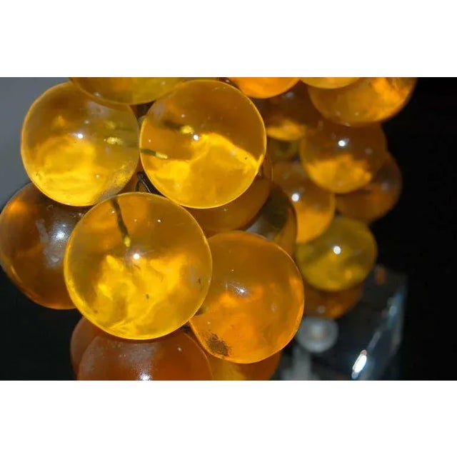 Amber Vintage Butterscotch Resin Lamps by Silvano Pantani 1966 For Sale - Image 8 of 9