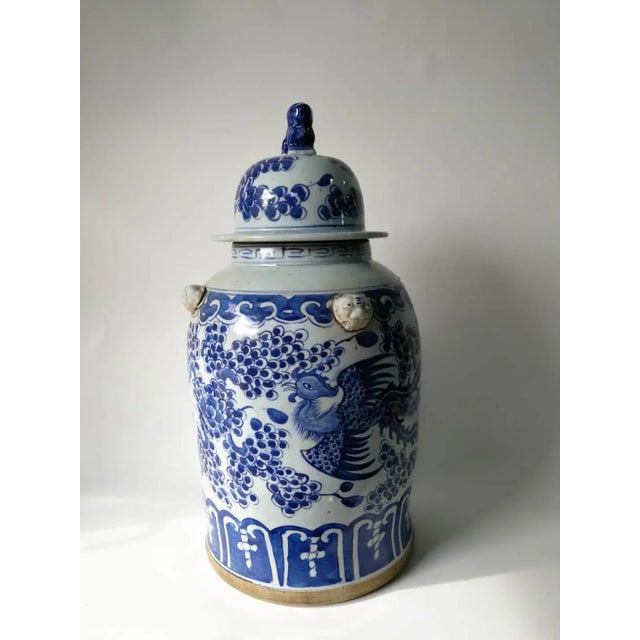 Blue and White Phoenix Porcelain Ginger Jar For Sale - Image 4 of 9