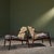 Lounge Chairs by Hartmut Lohmeyer for Wilkhahn, Germany, 1950s, Set of 2 For Sale - Image 4 of 13