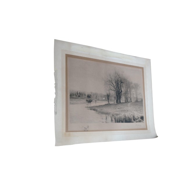 Late 19th century black and white etching by William de la Montagne Cary. Country riverscape / landscape of bulls / cows...
