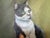 Realism Signed Oil Painting of Three Cats, Cat Lover Wall Art, Framed Feline Portrait For Sale - Image 3 of 11