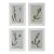 Set of 4 – Organic Modern Botanical Paintings - Dark Green For Sale