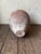 Large Antique Mediterranean Patinated Terracotta Olive Jar, 1900s For Sale - Image 6 of 10