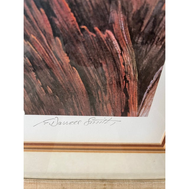 Owl Portraits of the World, Barred Owl Print, E. Darrell Smith Artist Proof For Sale In New York - Image 6 of 12