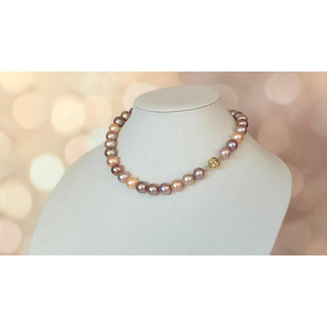 Genuine Freshwater Edison Pearl Necklace With 14k Gold Clasp For Sale - Image 4 of 11