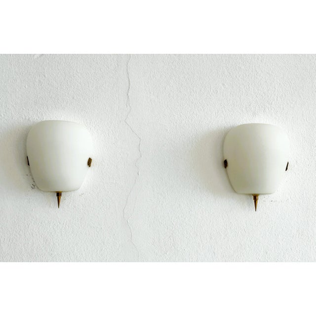 Mid-Century French Minimalist Glass and Brass Wall Sconces, 1950, Set of 2 For Sale - Image 4 of 12