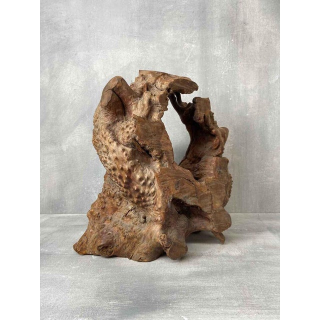 Dimensions: height approx. 37 cm, width approx. 38 cm, depth approx. 25 cm. A distinctive sculptural object made from...