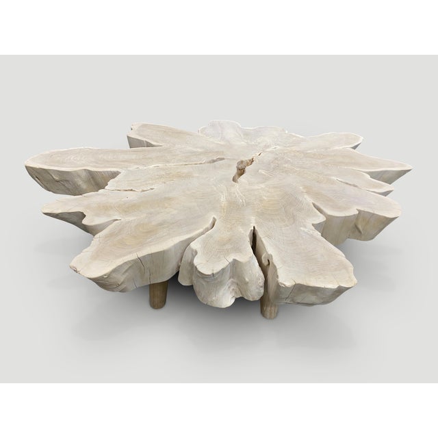 Andrianna Shamaris Amorphous Bleached Teak Wood Organic Coffee Table For Sale - Image 4 of 6