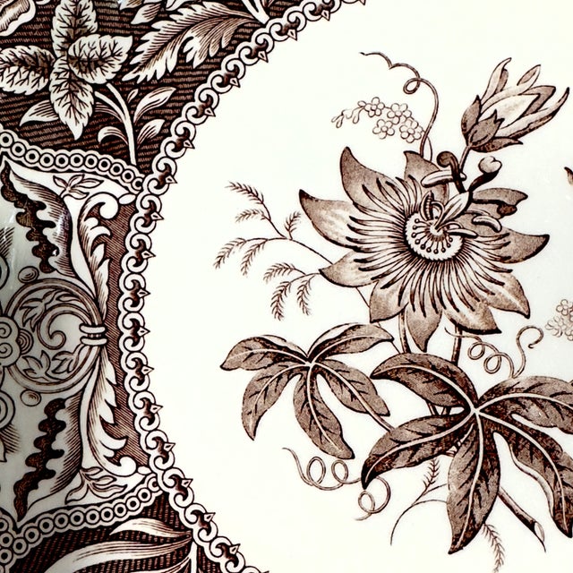 Brown Spode Archive Collection Umber Floral Luncheon Plates - Set of 8 For Sale - Image 8 of 11