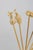 Skultuna, set of six cocktail sticks with fruit and vegetable motifs. Decorative metal cocktail sticks with detailed...