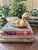 Perfect for the cabin or office - duck hunter or not - this cast brass duck is life sized and full of detail. Not really a...
