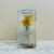 Murano Glass Table Lamp by Toni Zuccheri for Mazzega, 1970s For Sale - Image 6 of 17
