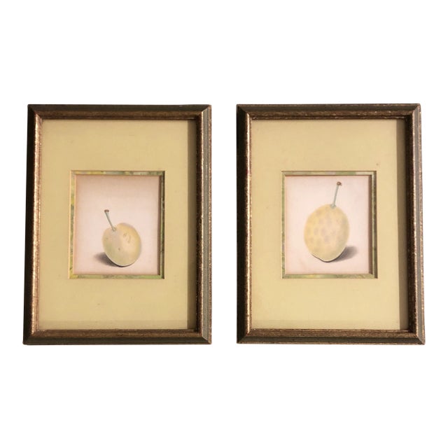 Gallery Wall Collection-2 Vintage Hyper Realistic Colored Fruit Drawings Original Frames 1950’s - a Pair For Sale