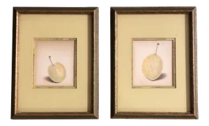 Gallery Wall Collection-2 Vintage Hyper Realistic Colored Fruit Drawings Original Frames 1950’s - a Pair