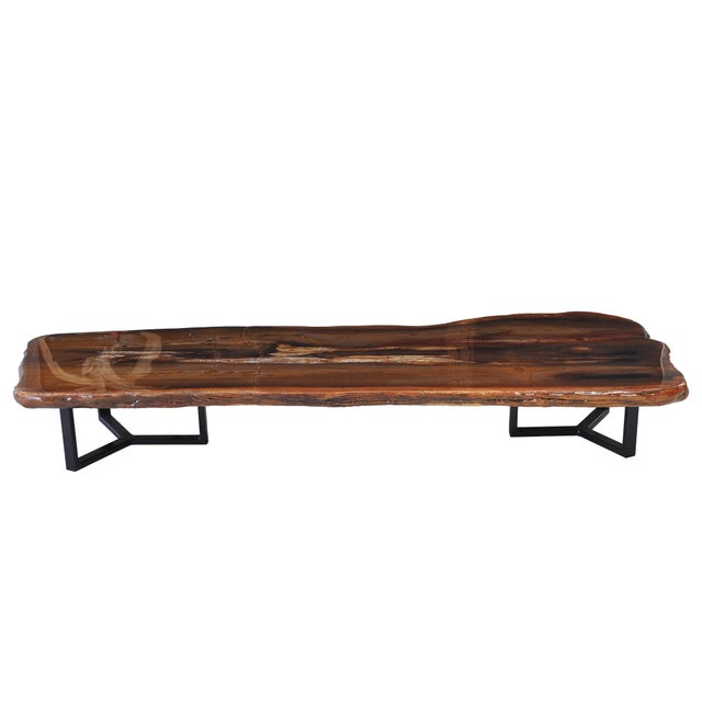 Metal Epoxy Coated Petrified Wood Coffee Table by Xyleia Petrified Wood For Sale - Image 7 of 7