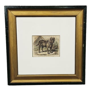 Friedrich Carl Georg Specht, Dog, 1870, Original Woodcut, Framed For Sale