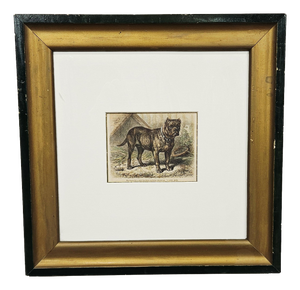 Friedrich Carl Georg Specht, Dog, 1870, Original Woodcut, Framed