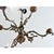 Traditional 19th Century Traditional Brass Chandelier For Sale - Image 3 of 12