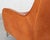 Animal Skin Sculptural Model DS 264 Lounge Chair by Matthias Hoffmann for de Sede, 1990s For Sale - Image 7 of 18