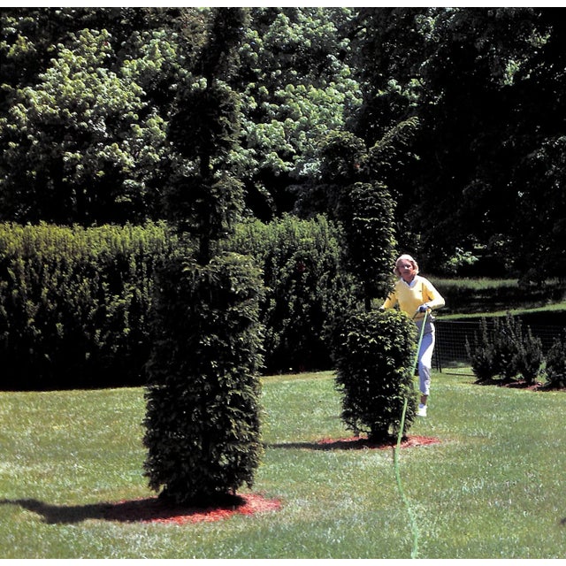 1980s "First Garden" 1987 Guest, c.z. For Sale - Image 5 of 12