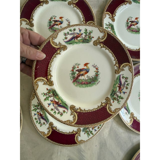 1930s Myott Staffordshire Chelsea Bird Salad Plates Burgundy Gold English China - Set of Eight (8) 7 7/8” For Sale In Chicago - Image 6 of 11