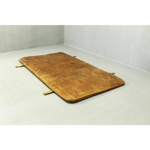 Animal Skin Leather Gym Mat, 1930s For Sale - Image 7 of 11