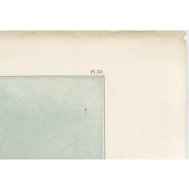 Paper Leliman, Museum King Willem III, Elevation, Dutch Architecture Print, 1865, Paper For Sale - Image 7 of 12
