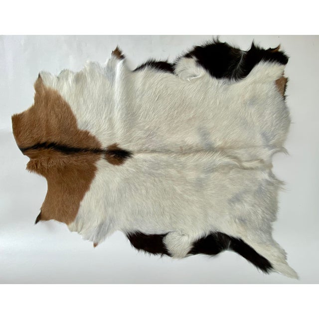 Natural Goat Hide Throw Rug | Chairish