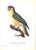 White "Exotic Birds: Parrots. Birds of Paradise. Tucans" Book 1963 Levaillant, Francois For Sale - Image 8 of 8