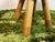 Wood Bambi Chair by Takeshi Sawada for EO, Denmark, 2010s For Sale - Image 7 of 12