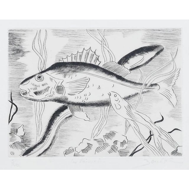 Maurice Bouval - Fish - Original Etching - 1960s For Sale