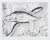 Maurice Bouval - Fish - Original Etching - 1960s For Sale