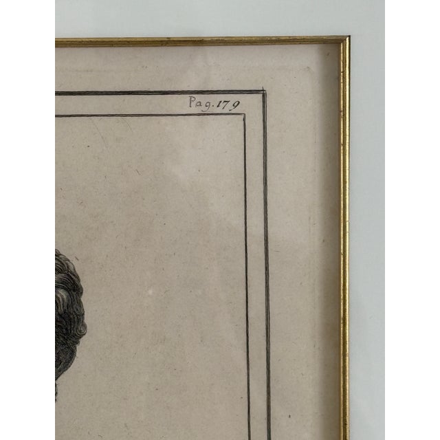 Late 18th Century Pair of 18th Century Italian Bust Engravings (Antique Etchings) - Neoclassical Grand Tour Copperplate Prints by Casanova & Campana, Framed For Sale - Image 5 of 11