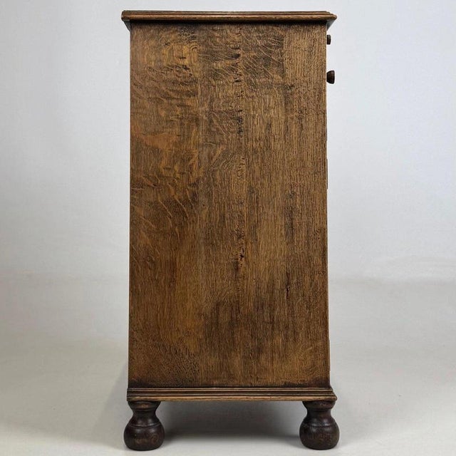 Small Early 20th Century English Edwardian Carved Oak Cabinet, 1890s For Sale - Image 9 of 15