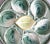 A lovely antique French majolica trompe l'oeil oyster plate made at the famous St. Clement faience factory in the East of...