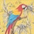 “Macaw of the Wild” Scarlet Macaw Parrot Painting For Sale