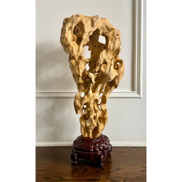 Extraordinary Large Chinese Scholar Rock Yellow Taihu Stone on Wood Stand For Sale - Image 16 of 18