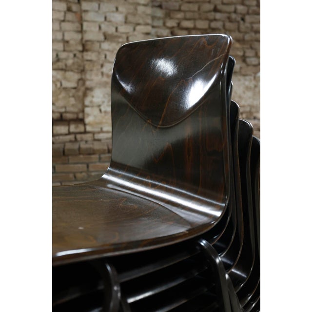 Mid-Century Modern S23 Chair from Galvanitas, Netherlands, 1960s For Sale - Image 3 of 18