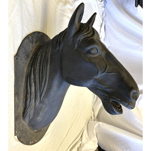 Antique French Life Size Heavy Cast Iron Horse Head Wall Mount Plaque Indoor/ Outdoor For Sale In West Palm - Image 6 of 18