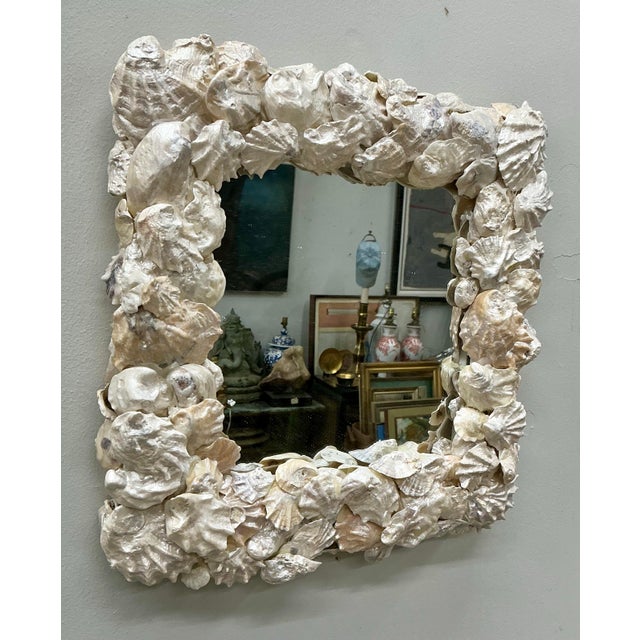 Small Shell Frame Mirror For Sale - Image 4 of 9