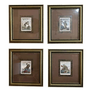 Set of 4 Antique French Hand Colored Monkey Engravings For Sale