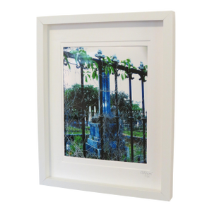 Southern Architectural Travel Photography, Framed by C. Damien Fox 2026