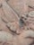 Italian Neoclassical Terracotta Relief Plaque of the Goddess Flora, Circa 1910 For Sale - Image 12 of 12