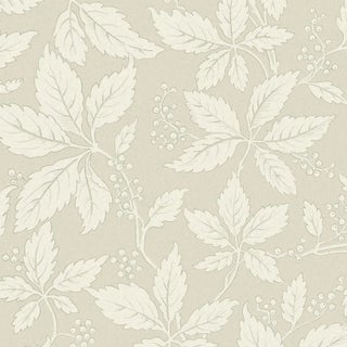 Borastapeter Vildvin Wallpaper in Leaf For Sale