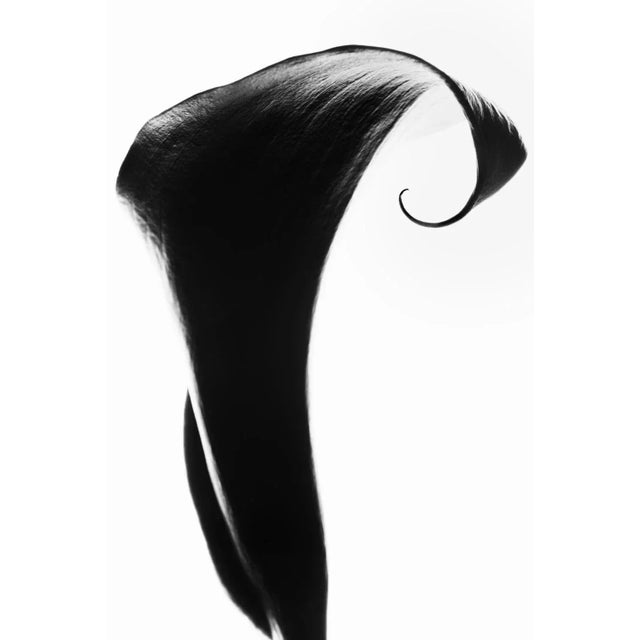 Original Photography by Cyrille Druart For Sale - Image 3 of 3