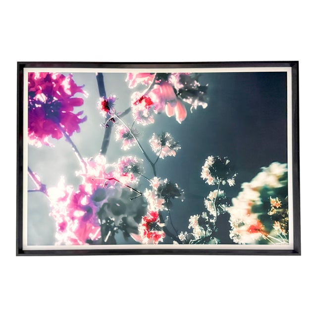 Drifting Blooms, Grey and Pink - Framed Fine Art Photography by Kristin Hart For Sale