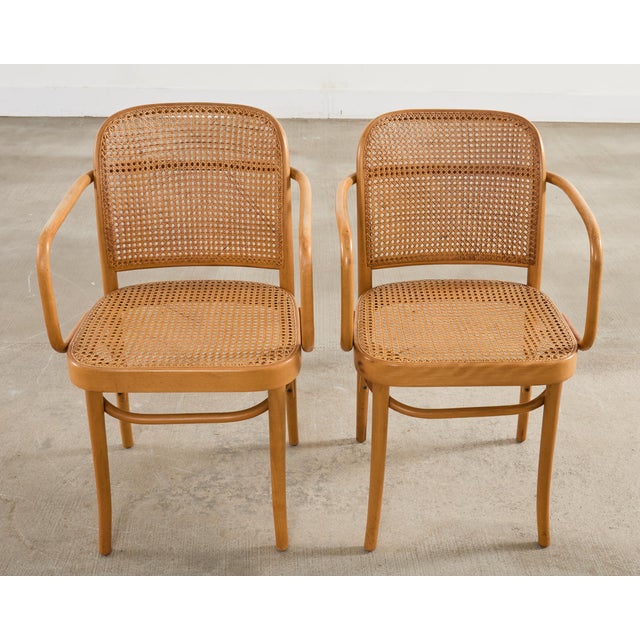 Set of Four Thonet Prague Bentwood Armchairs by Josef Hoffman For Sale In Sacramento - Image 6 of 18