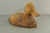 Early 20th Century Carved Wood Duck Decoy, S. Laity Woodcarvers Lancaster, Pennsylvania For Sale - Image 9 of 17